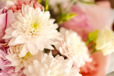 Beautiful close-up chrysanthemums, bouquet of flowers. Postcard with white and pink flowers, macro photography, floral background, wedding flowers, bridal bouquet close-up.の写真素材