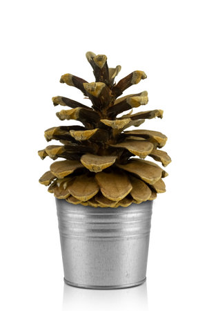 Christmas decoration isolated on white background with space for copy. Beautiful object, pine cone in an iron bucket, Christmas treeの写真素材