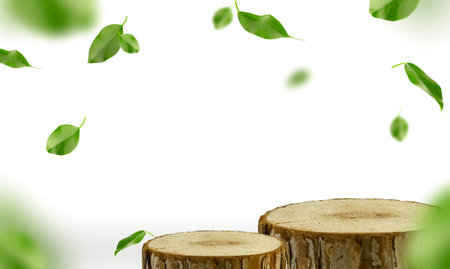 Two wooden stumps on a white background with space for a copy, green leaves. Wooden podiums on a white background with leaves floating in the air around. An image with space for a copyの写真素材