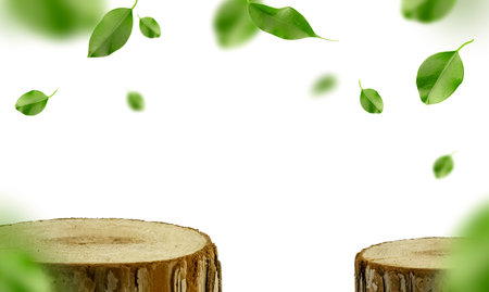 Two wooden podiums on a white background with space for a replica with leaves. Green floating leaves on a white background, three-dimensional illustrated photograph with space for text and advertisingの写真素材