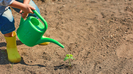 A small child in the garden is watering a planted plant with a green watering can. Children help at...
