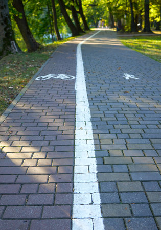 Road markings indicating the road for cyclists. Pedestrian path in the park on a sunny day. Image of...