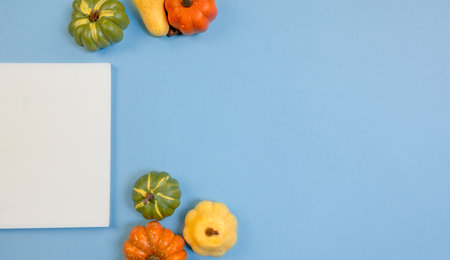 Small decorative pumpkins on a blue background, autumn banner, white sheet of paper. Autumn Photography with Space for Copy, Text and Advertising, Blue Background, Autumn Orange, Green and Yellow Pumpkinsの写真素材