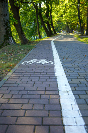 Road markings indicating the road for cyclists. Pedestrian path in the park on a sunny day. Image of...