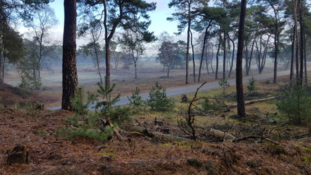 De Hoge Veluwe - National Park viewsの写真素材