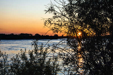 Leaves of trees at sunset over the riverの写真素材