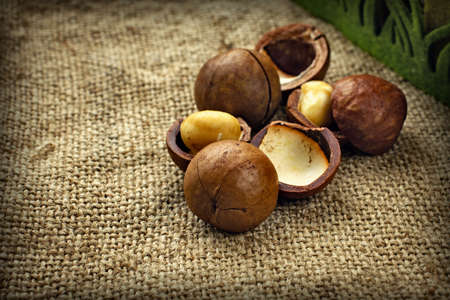 macadamia nuts on old burlapの写真素材