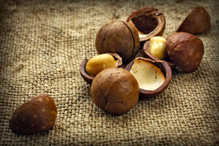 macadamia nuts on old burlapの写真素材