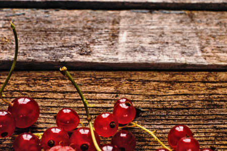 Red currants on a wooden backgroundの写真素材