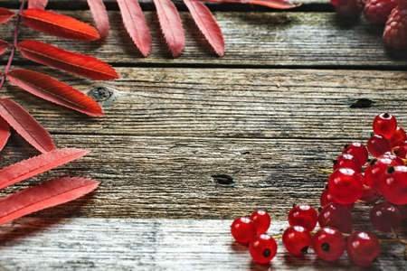 red rowan leaves on wooden backgroundの写真素材