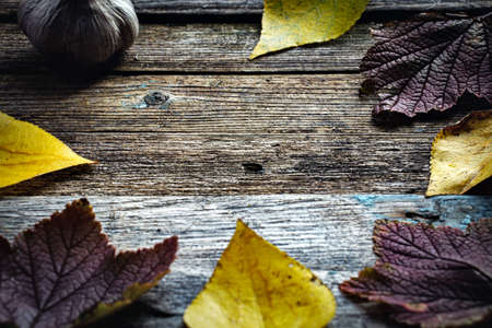 autumn leaves and garlic on wooden tableの写真素材