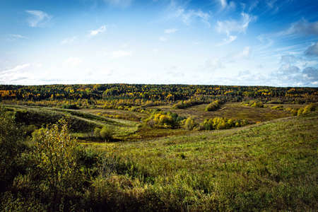 background with forest of autumn treesの写真素材