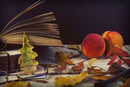 Book, glasses, knitted sweater, fruits and autumn leaves on a wooden table. Autumn still life.の写真素材