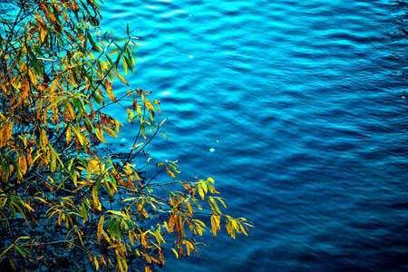Landscape with autumn leaves over the waterの写真素材