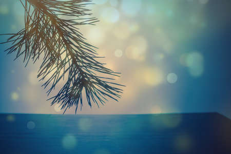 christmas tree with defocused lightsの写真素材