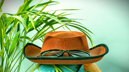 Background with cowboy hat and sunglasses on a globe under palm leavesの写真素材