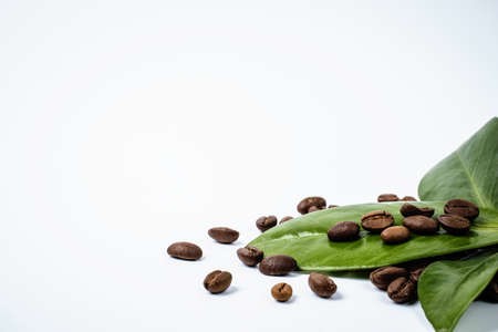 Coffee beans and green leaves on white background. Copy spaceの写真素材