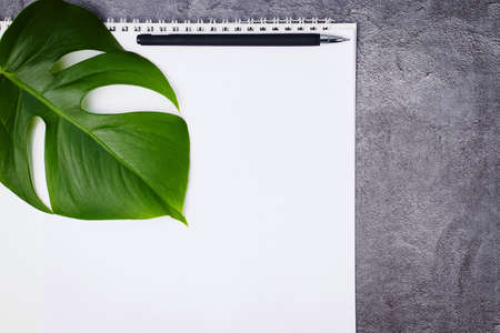 A large green leaf, pen and spiral notebook on a gray background. Copy spaceの写真素材