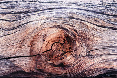 Background texture of old wood with beautiful structural lines close-up.の写真素材