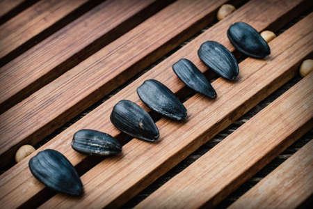 Row of sunflower seeds on wooden backgroundの写真素材