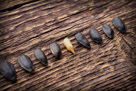 Row of sunflower seeds on wooden background, one open sunflower seedの写真素材