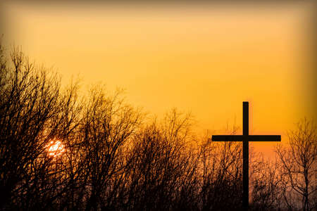 Cross in the sunset of the sun and the silhouette of tree branchesの写真素材