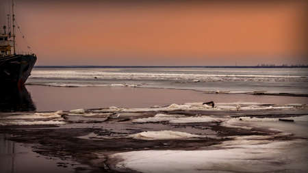 A fishing boat among drifting ice floes on a river at sunset of the day. Severnaya Dvina River, Arkhangelsk Region, Russiaの写真素材