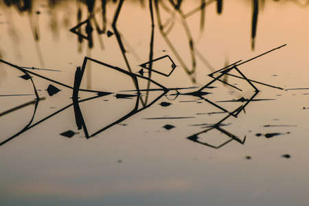 Morning landscape with a water surface with reflection of the sky and reedsの写真素材