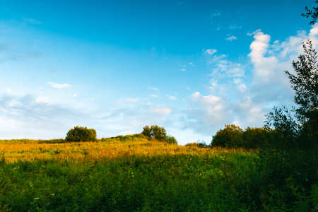 A picturesque landscape with a view of a green grassy hill and a blue sky with clouds. Division into zones of different illumination by the shade of the trees.の写真素材