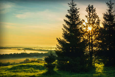 Morning landscape with trees in the foreground, the sun shines through the branches, in the...