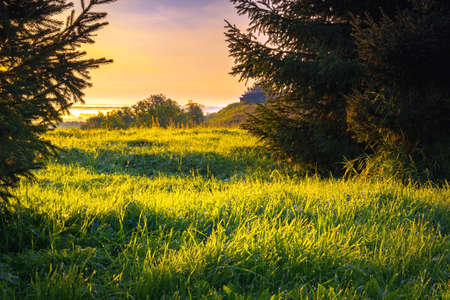 Beautiful landscape with green grass covered with dew drops in the backlight of the rising sunの写真素材