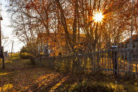 Rising sun rays through the branches of autumn trees with an old fence in the foreground. Rural retro landscapeの写真素材