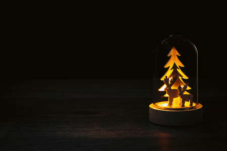 Decorative spruce and deer in a glass cylinder with lighting on a dark background. Christmas card. Copy spaceの写真素材