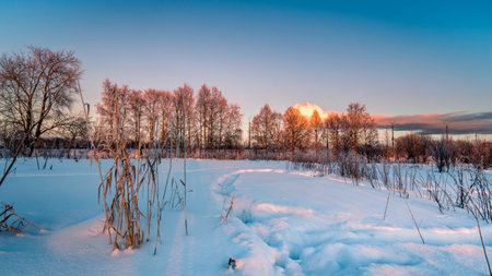 Beautiful winter landscape with trees illuminated by the orange light of the setting sun. Natural sceneの写真素材