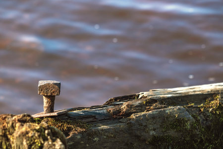 Rusty metal nail in an old pile on the background of water.