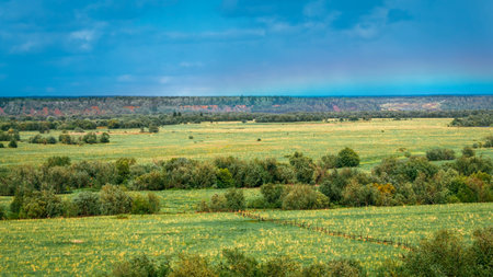Nice view of a green meadow with bunches of dried yellow grass, old hedges and trees. Spring landscapeの写真素材