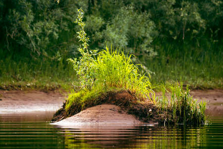 A beautiful islet with green grass on the river. Natural landscapeの写真素材