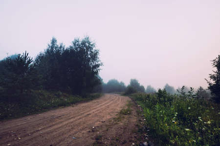 Dirt road in the meadow among the trees in the fog.の写真素材