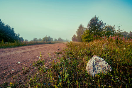 Rural dirt road with a large stone on the side of the road through a green meadow with trees.の写真素材