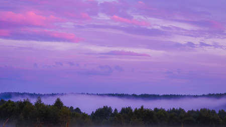 Delicate pink sunset over the forest covered with fog. beauty of natureの写真素材