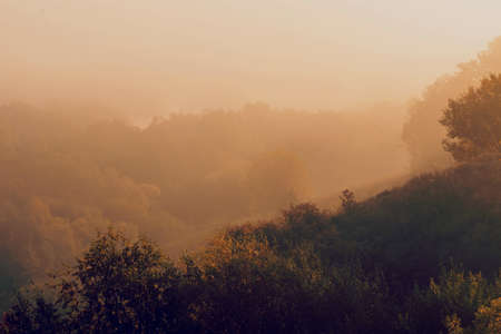 Morning view of the hillside with trees in the fog. The yellow light of the rising sunの写真素材
