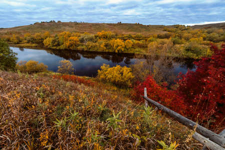 View of the river with trees on the bank with autumn color of leaves. Beautiful autumn landscape