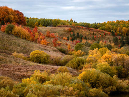 View of the hill overgrown with forest with autumn color of leaves. Beautiful autumn landscapeの写真素材