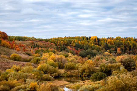 View of the hill overgrown with forest with autumn color of leaves. Beautiful autumn landscapeの写真素材