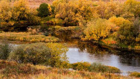 View of the river with trees on the bank with autumn color of leaves. Beautiful autumn landscapeの写真素材