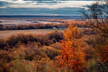 View from a hill with autumn trees to a rural meadow with a small farm and cows.の写真素材