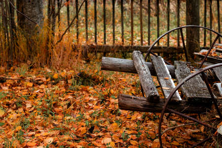 Vintage background with a rusty metal wheel of an old cart on a background of fallen leaves.の写真素材