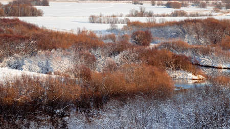 The first snow fell on the autumn bushes by the river.の写真素材