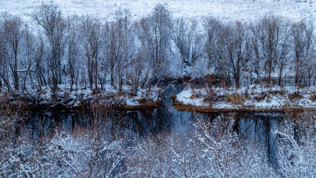 The first snow fell on the autumn bushes by the river.の写真素材