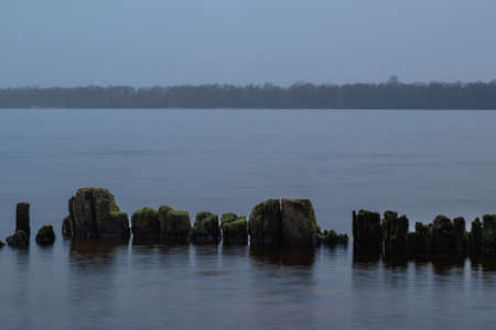 A line of old wooden piles covered with green algae on a misty river.